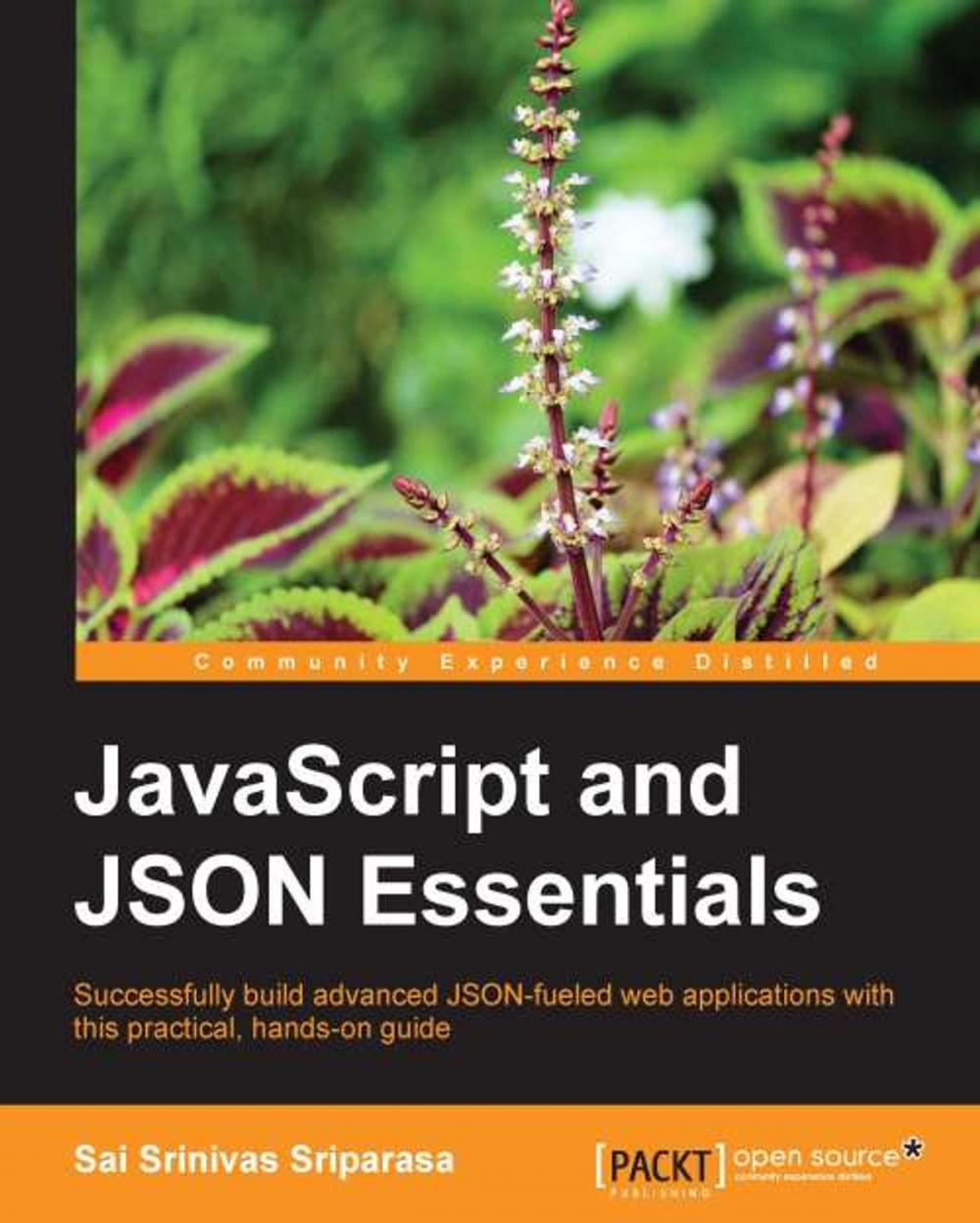 Big bigCover of JavaScript and JSON Essentials