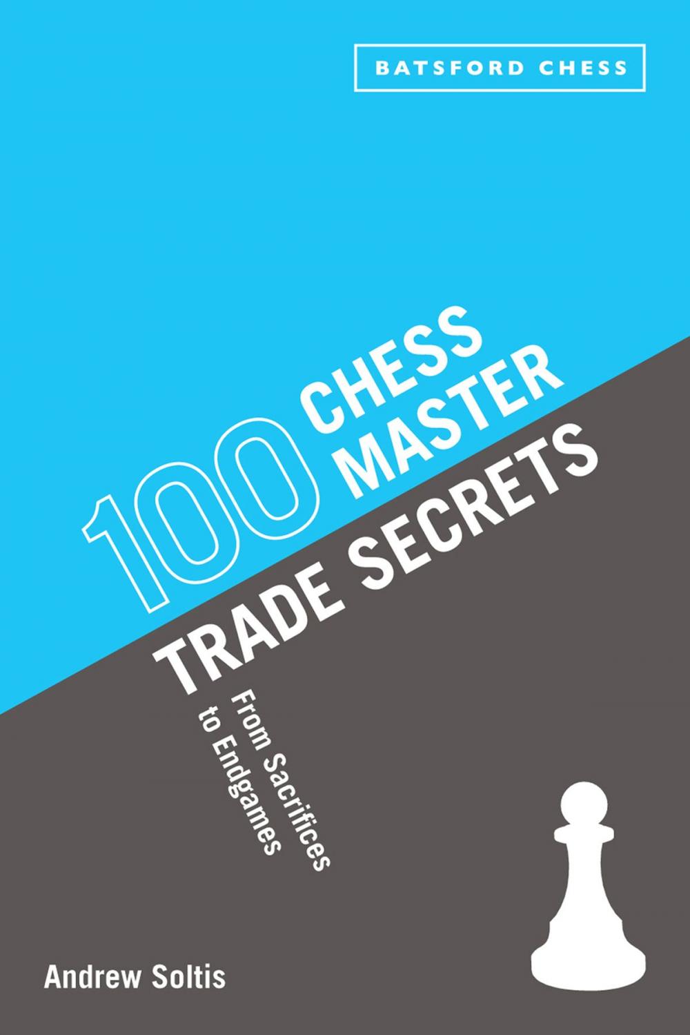 Big bigCover of 100 Chess Master Trade Secrets