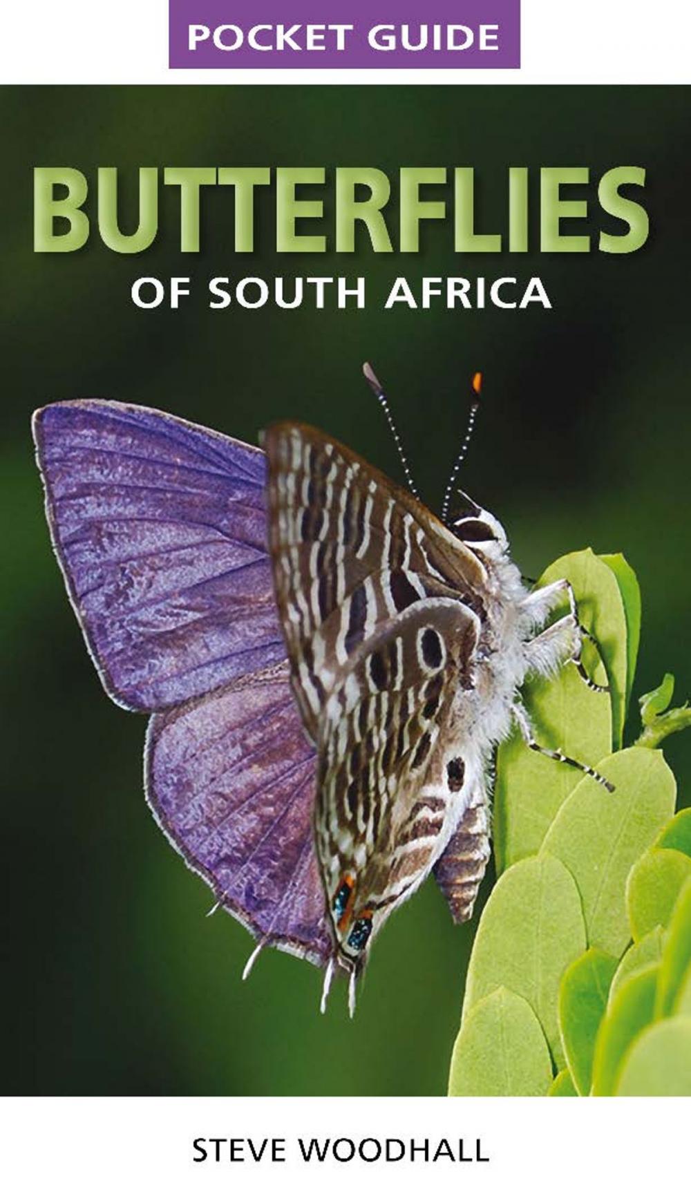 Big bigCover of Pocket Guide Butterflies of South Africa