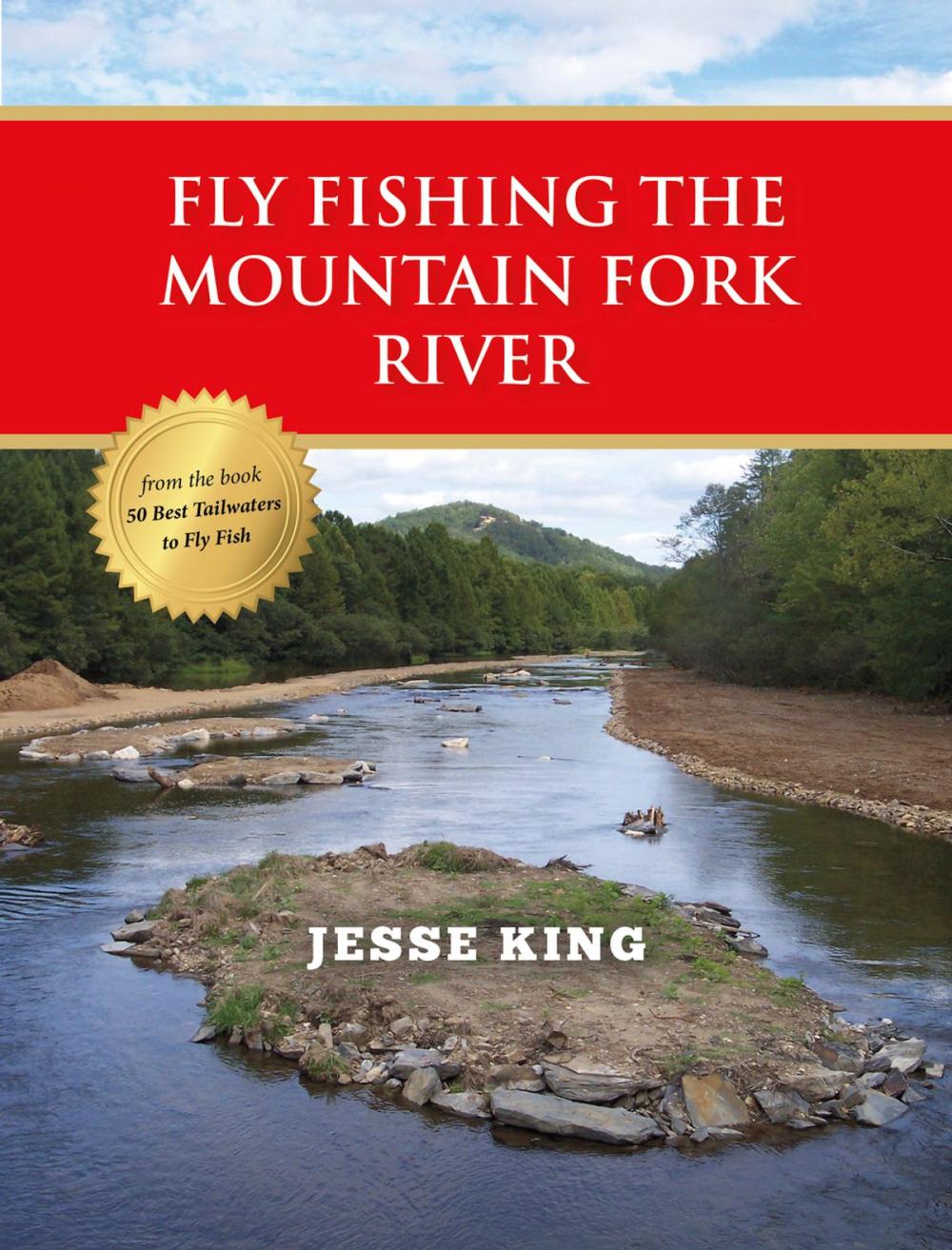 Big bigCover of Fly Fishing the Mountain Fork River