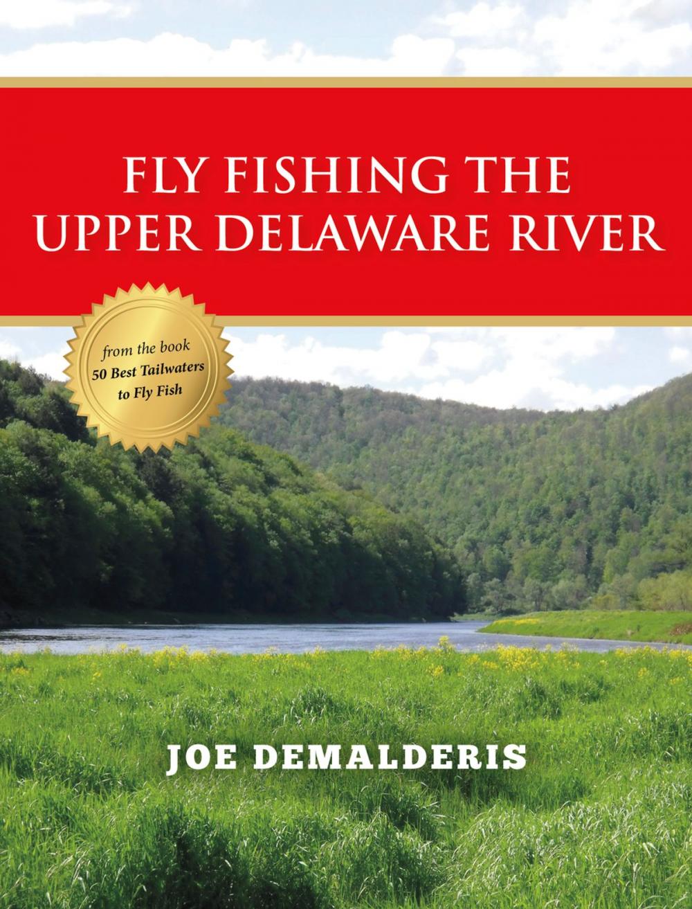 Big bigCover of Fly Fishing the Upper Delaware River