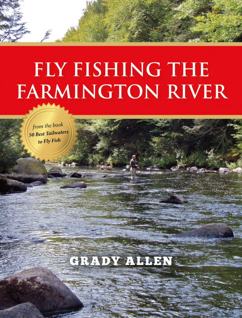 Big bigCover of Fly Fishing the Farmington River