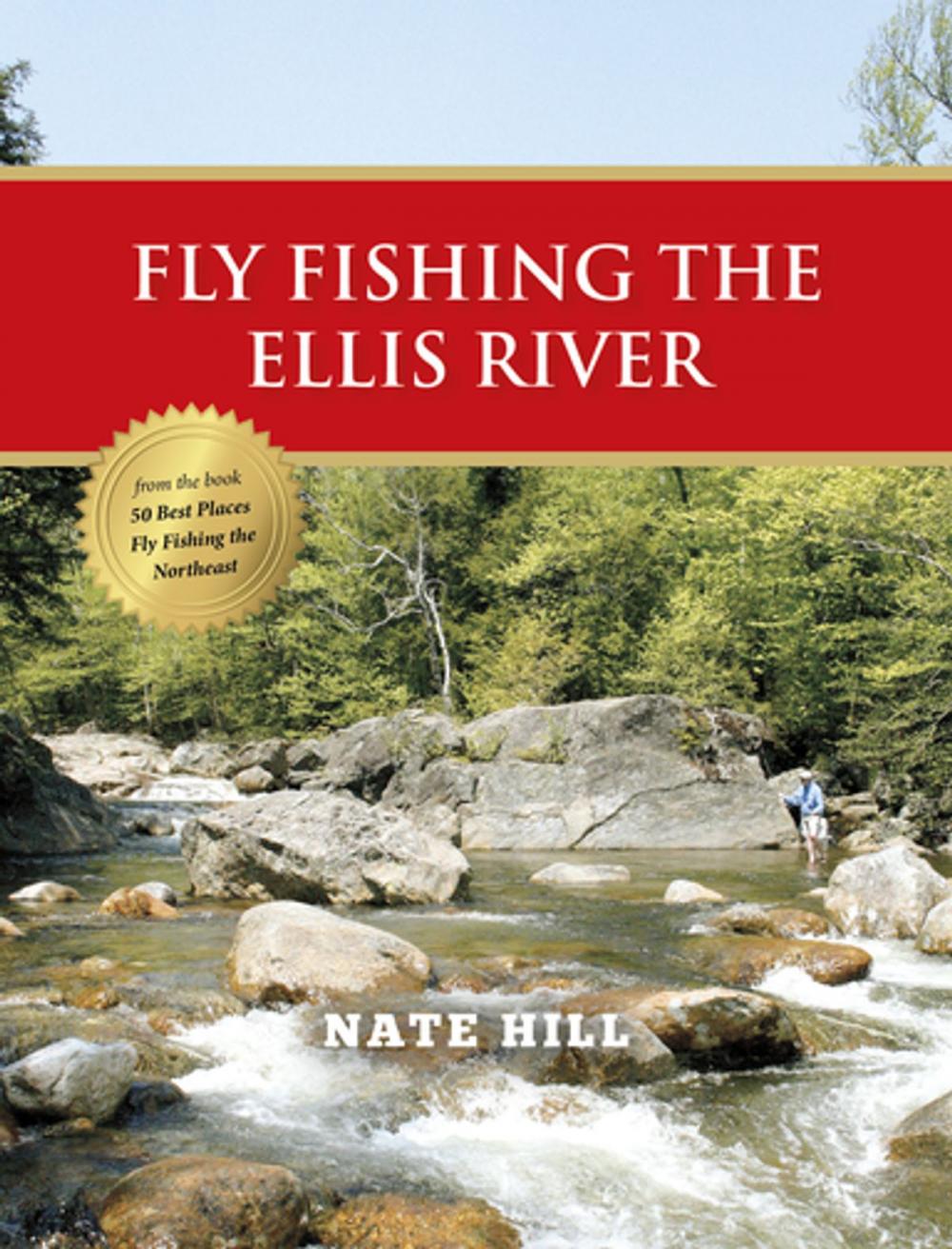 Big bigCover of Fly Fishing the Ellis River