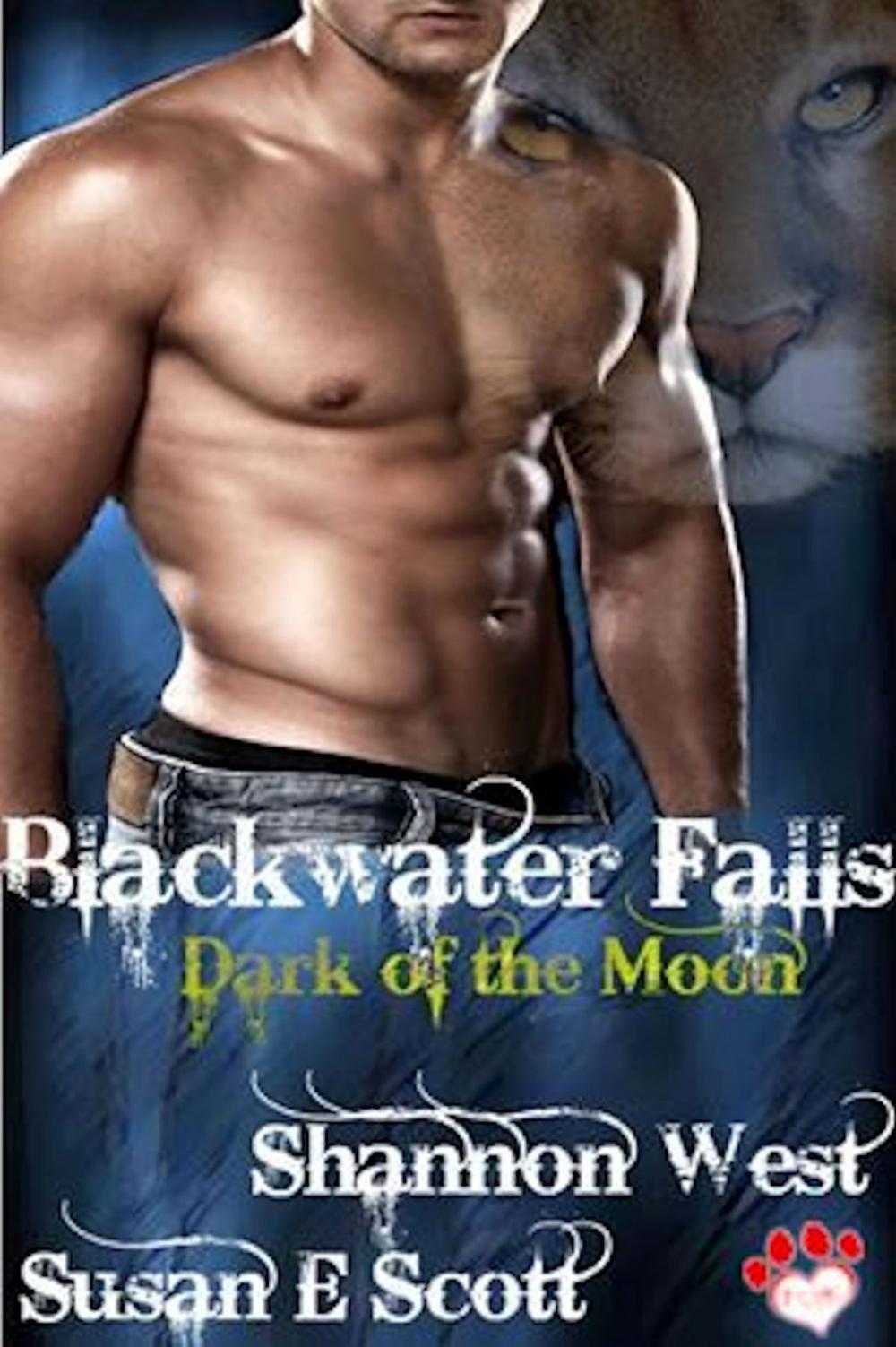 Big bigCover of Blackwater Falls: Dark of the Moon