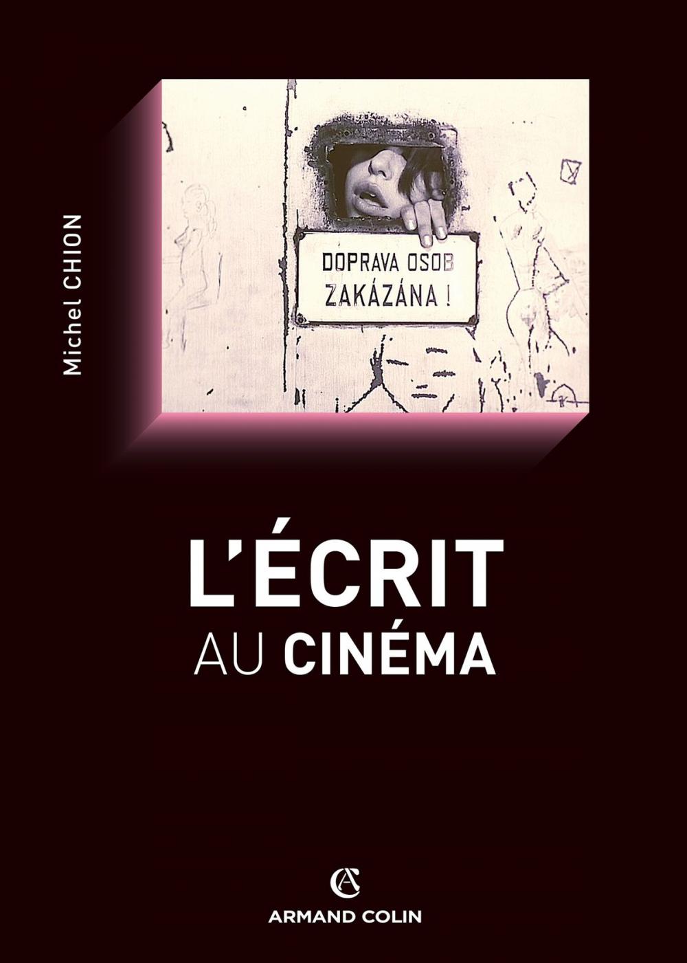 Big bigCover of L'écrit au cinéma