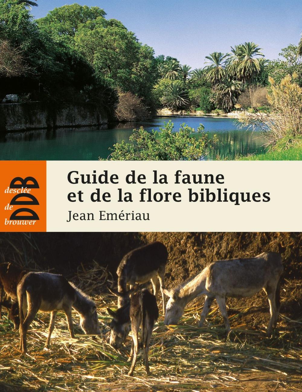 Big bigCover of Guide de la faune et la flore bibliques