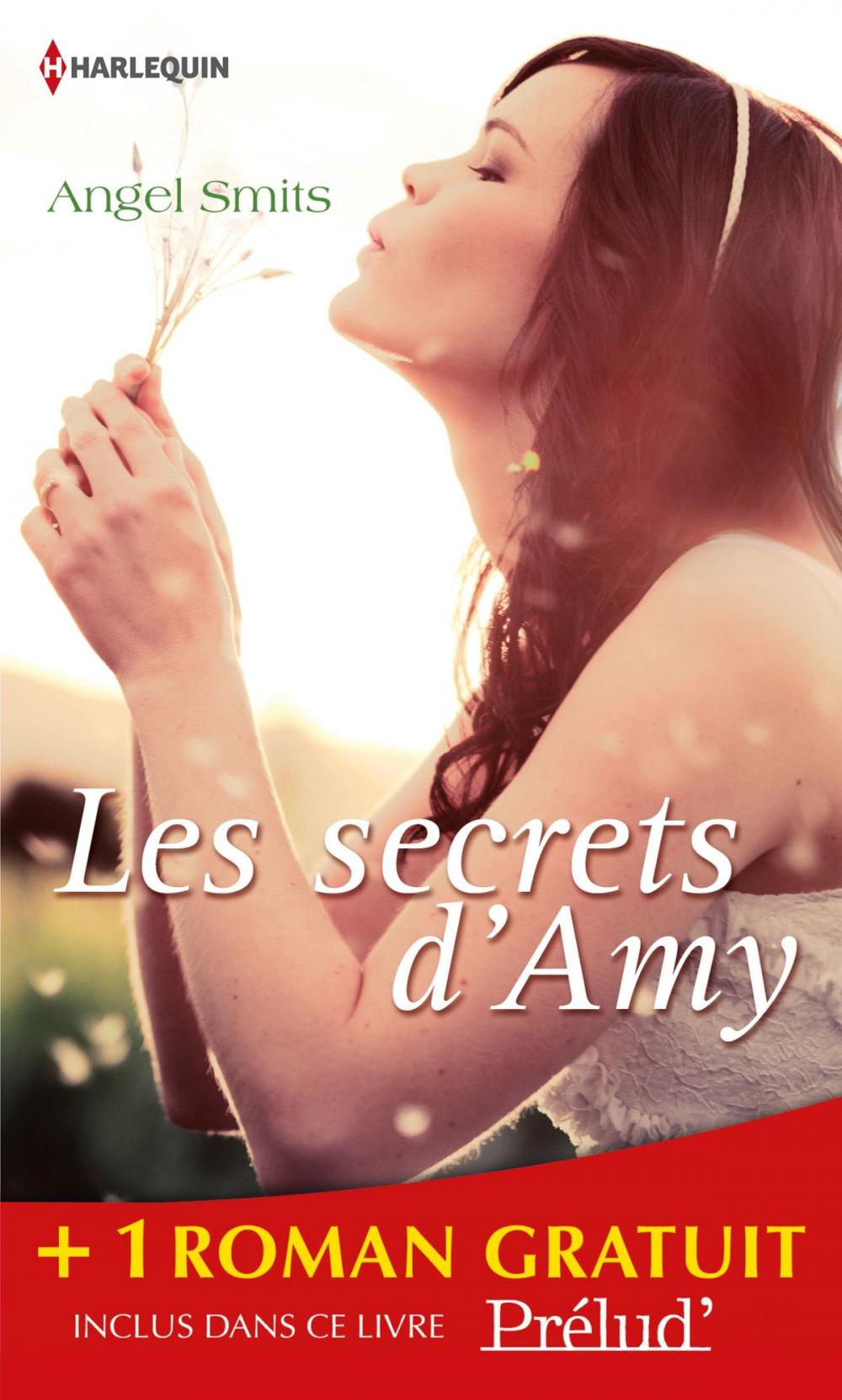 Big bigCover of Les secrets d'Amy - Les lumières de Noël