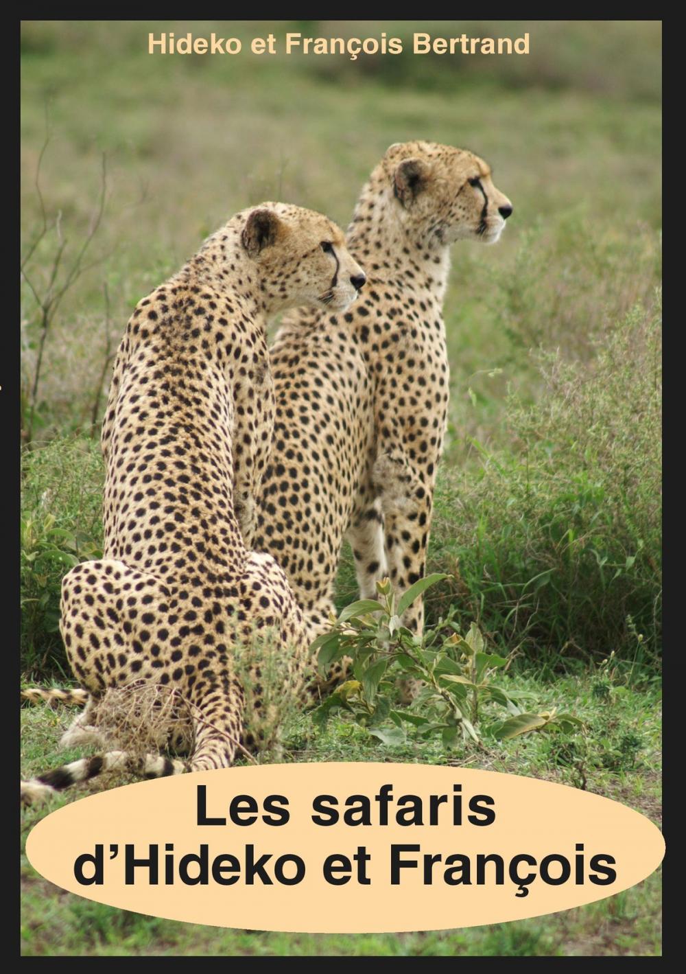 Big bigCover of Les safaris d'Hideko et François