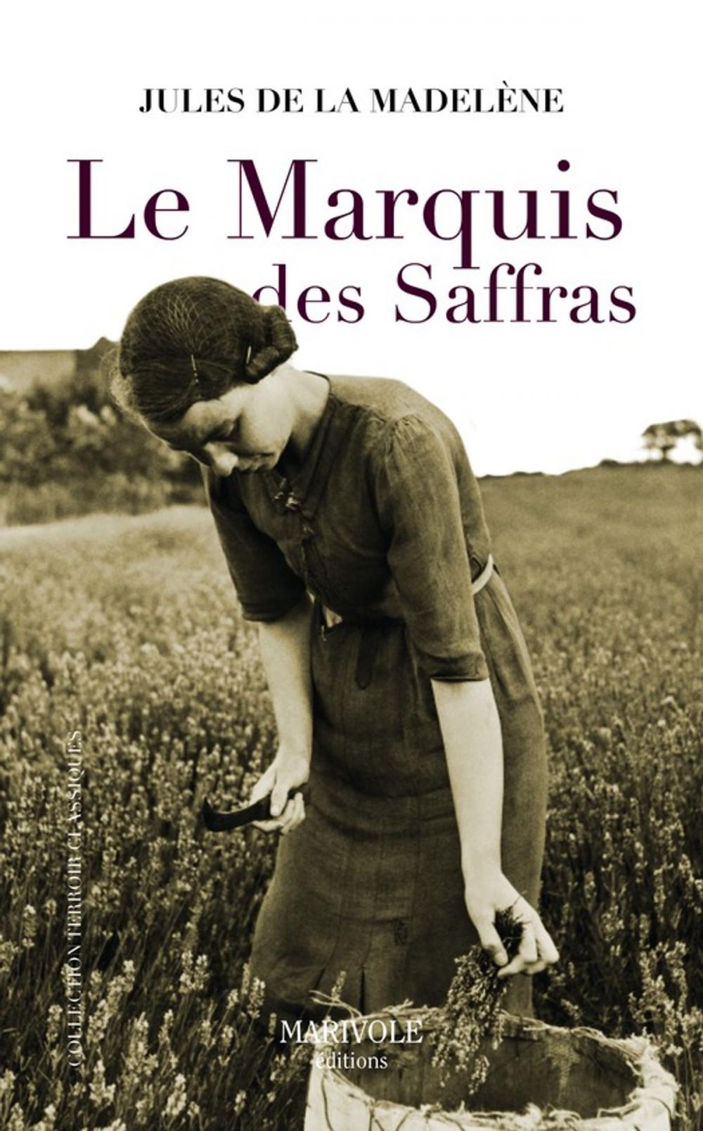 Big bigCover of Le Marquis des Saffras