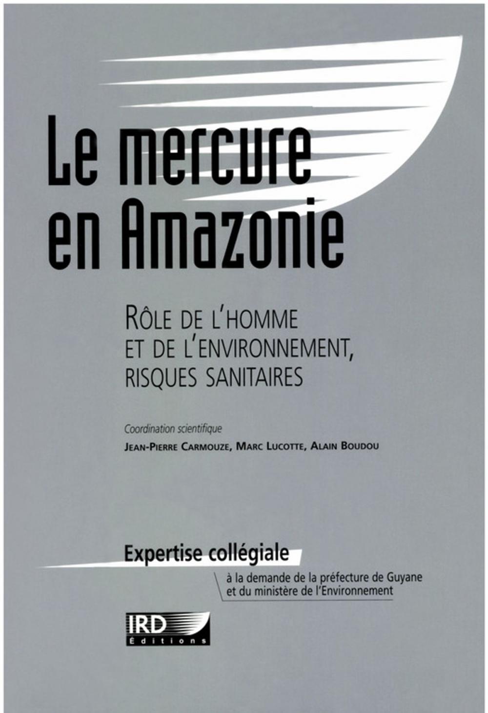 Big bigCover of Le mercure en Amazonie