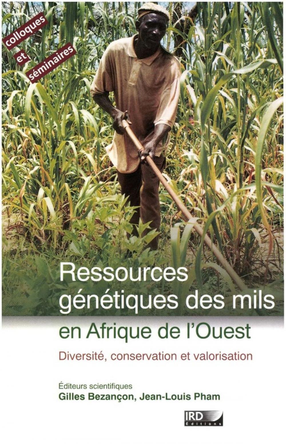 Big bigCover of Ressources génétiques des mils en Afrique de l'Ouest