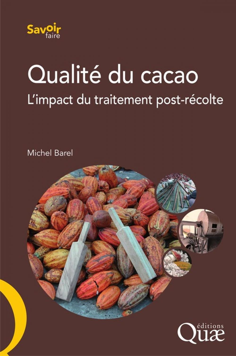 Big bigCover of Qualité du cacao