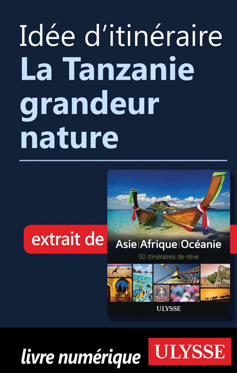 Big bigCover of Idée d'itinéraire - La Tanzanie grandeur nature