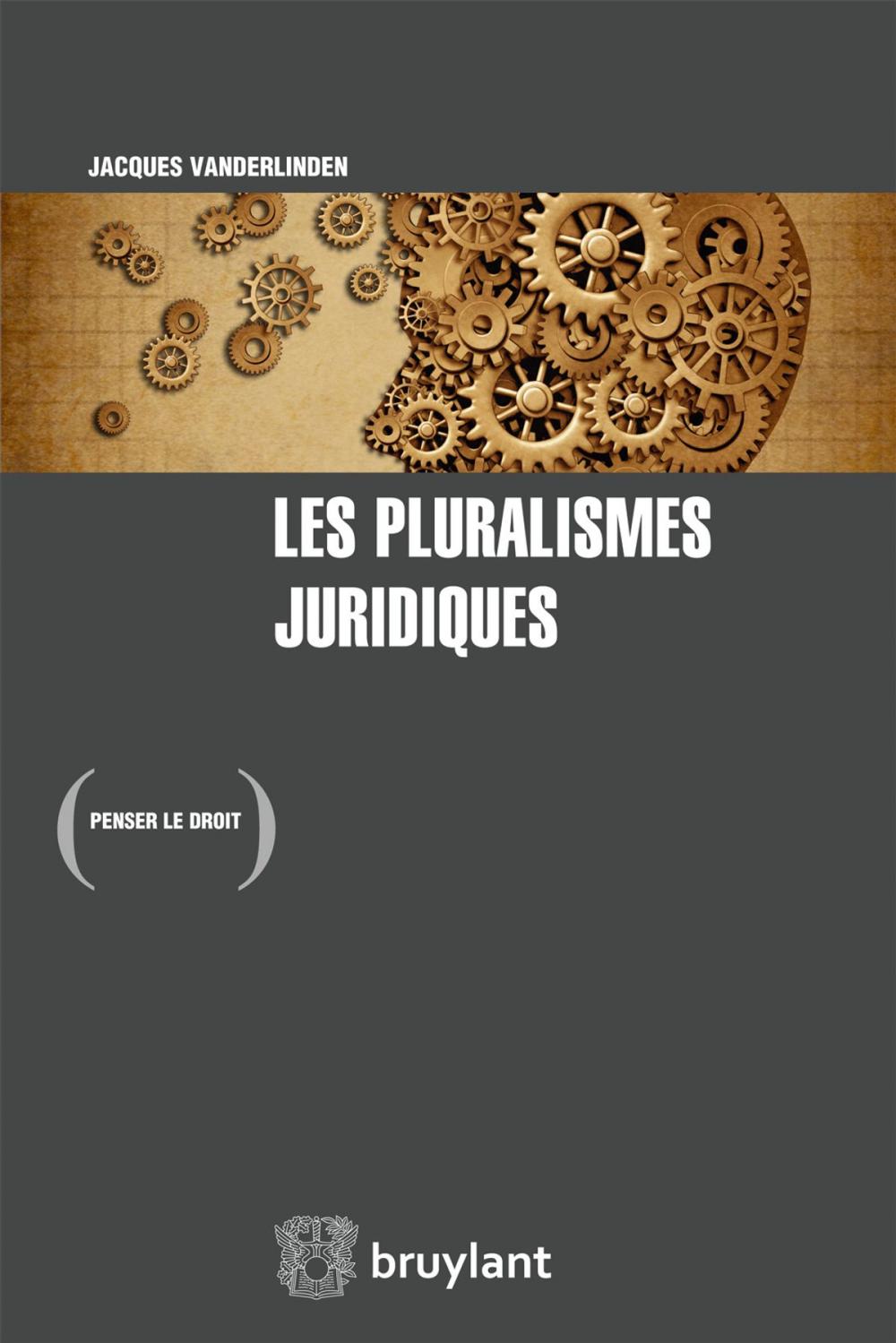 Big bigCover of Les pluralismes juridiques