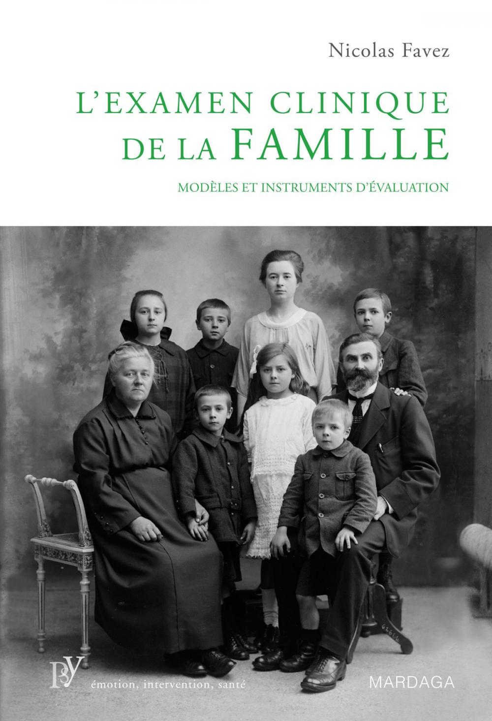 Big bigCover of L'examen clinique de la famille