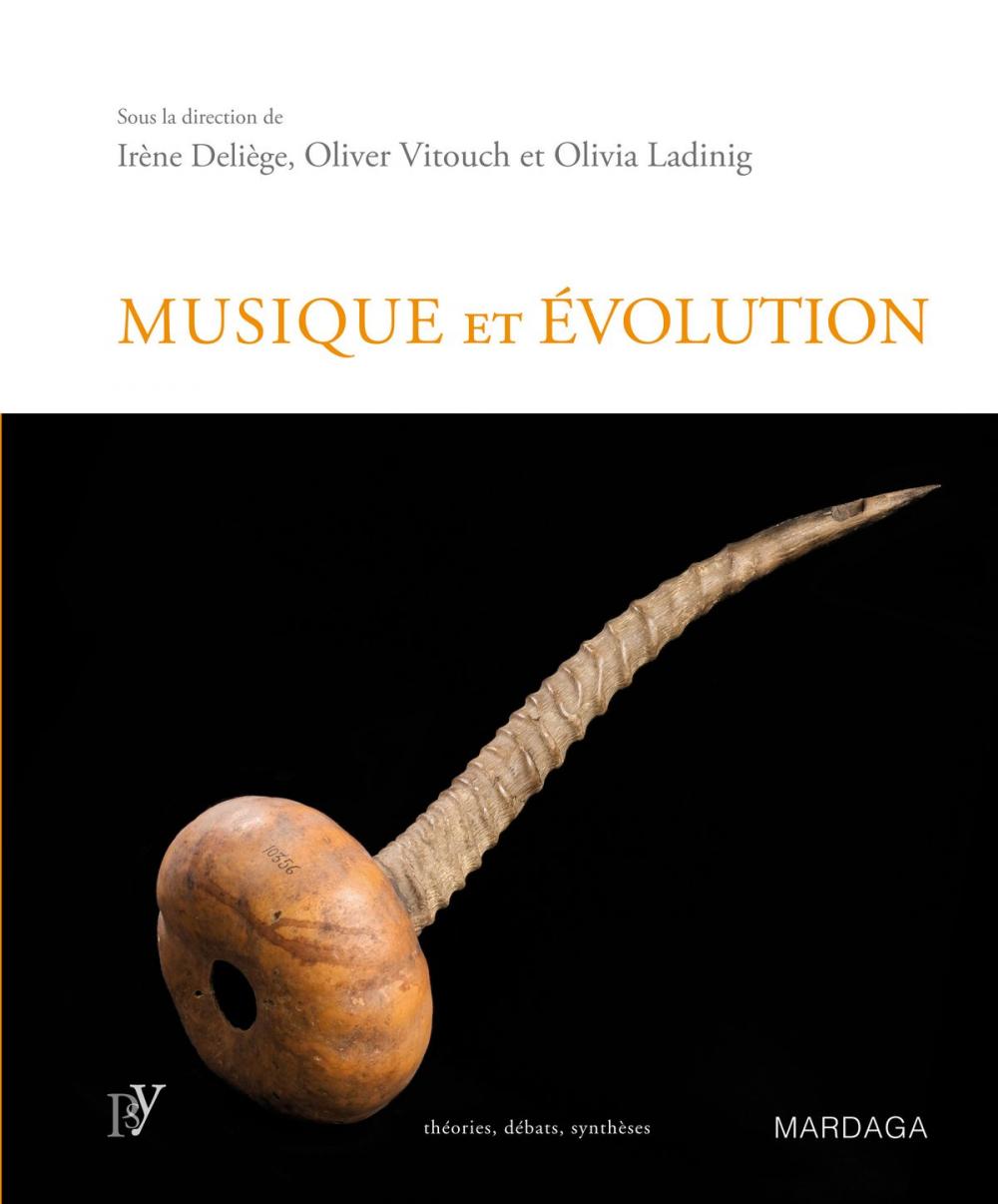 Big bigCover of Musique et évolution