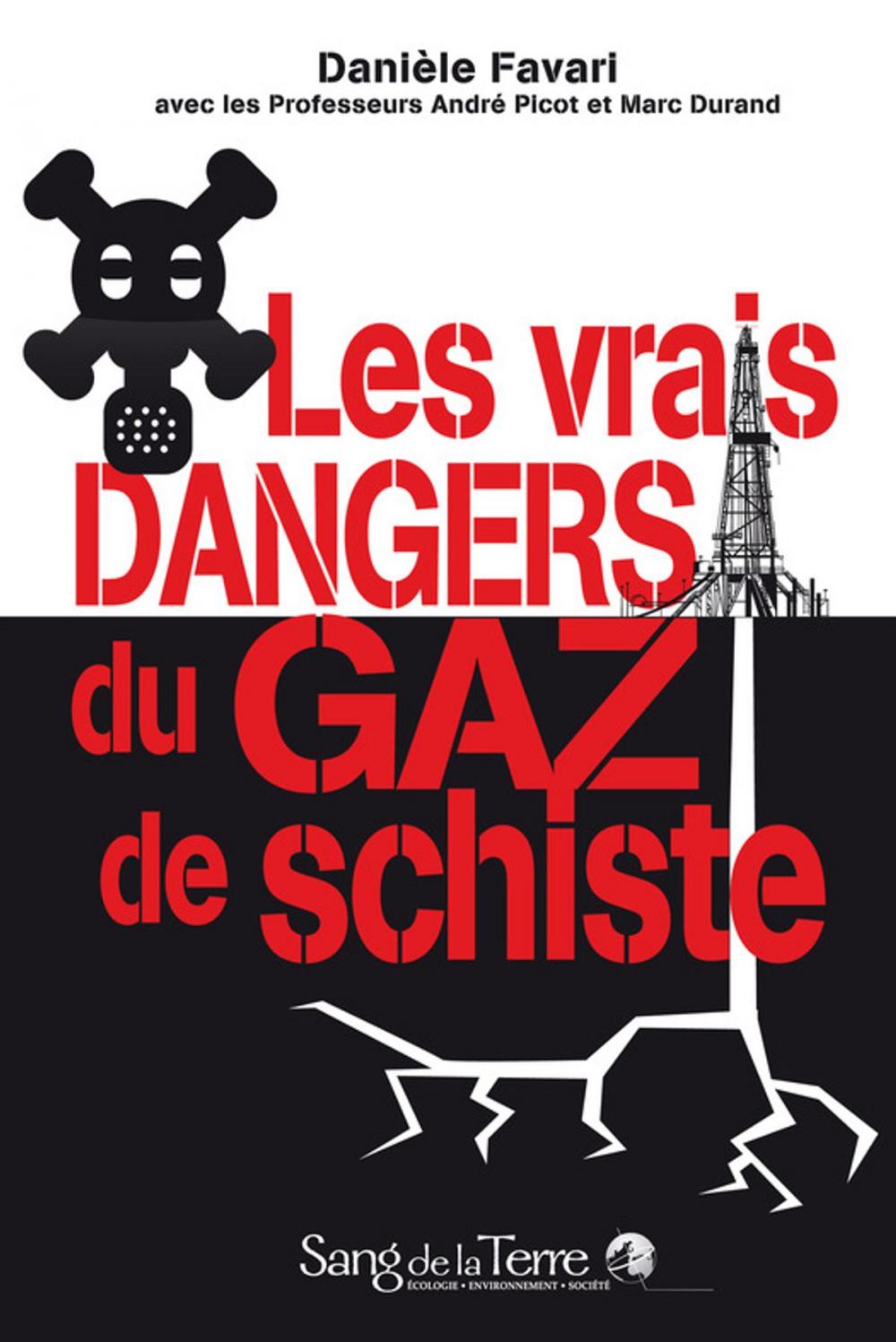 Big bigCover of Les vrais dangers du gaz de schiste