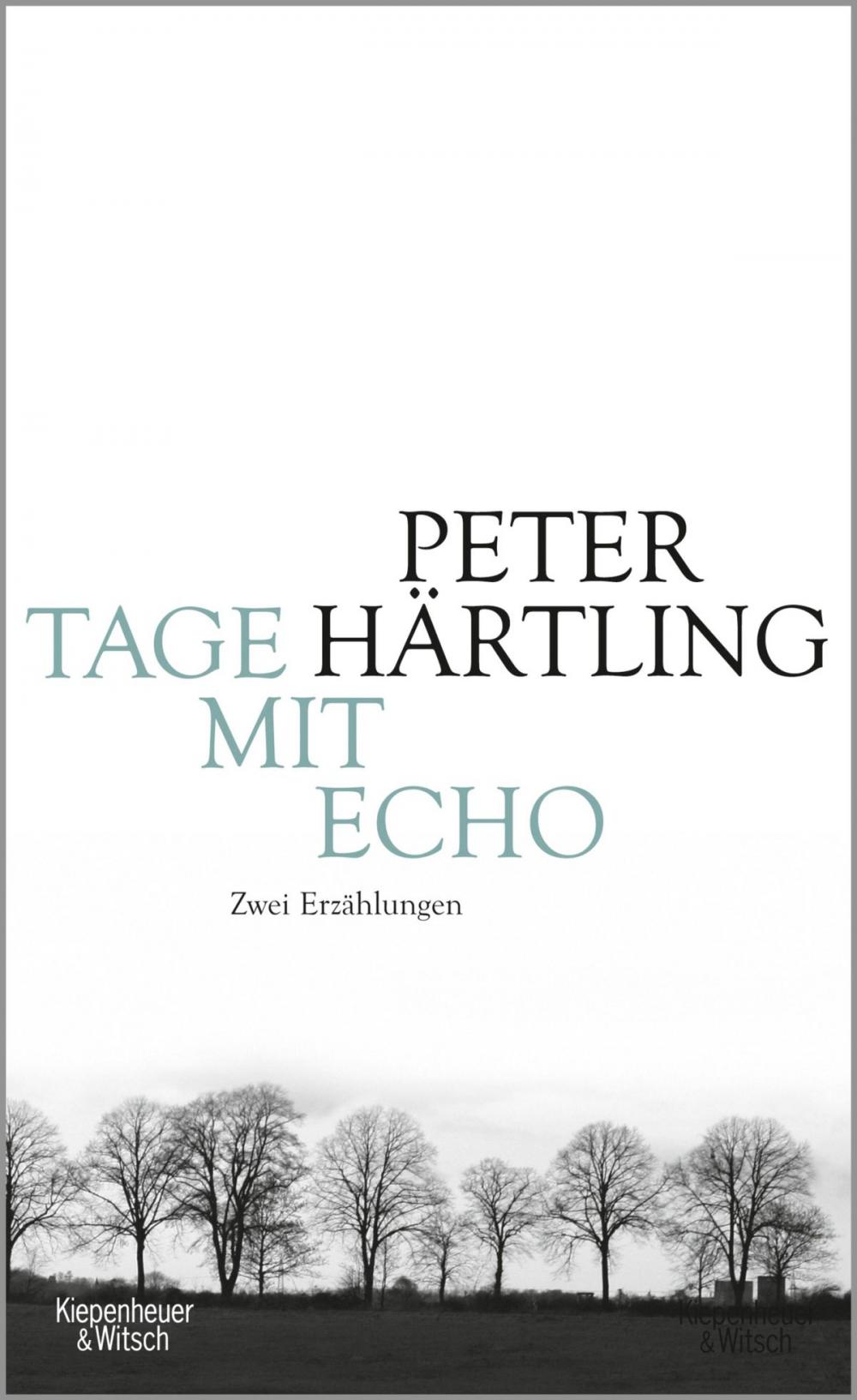 Big bigCover of Tage mit Echo