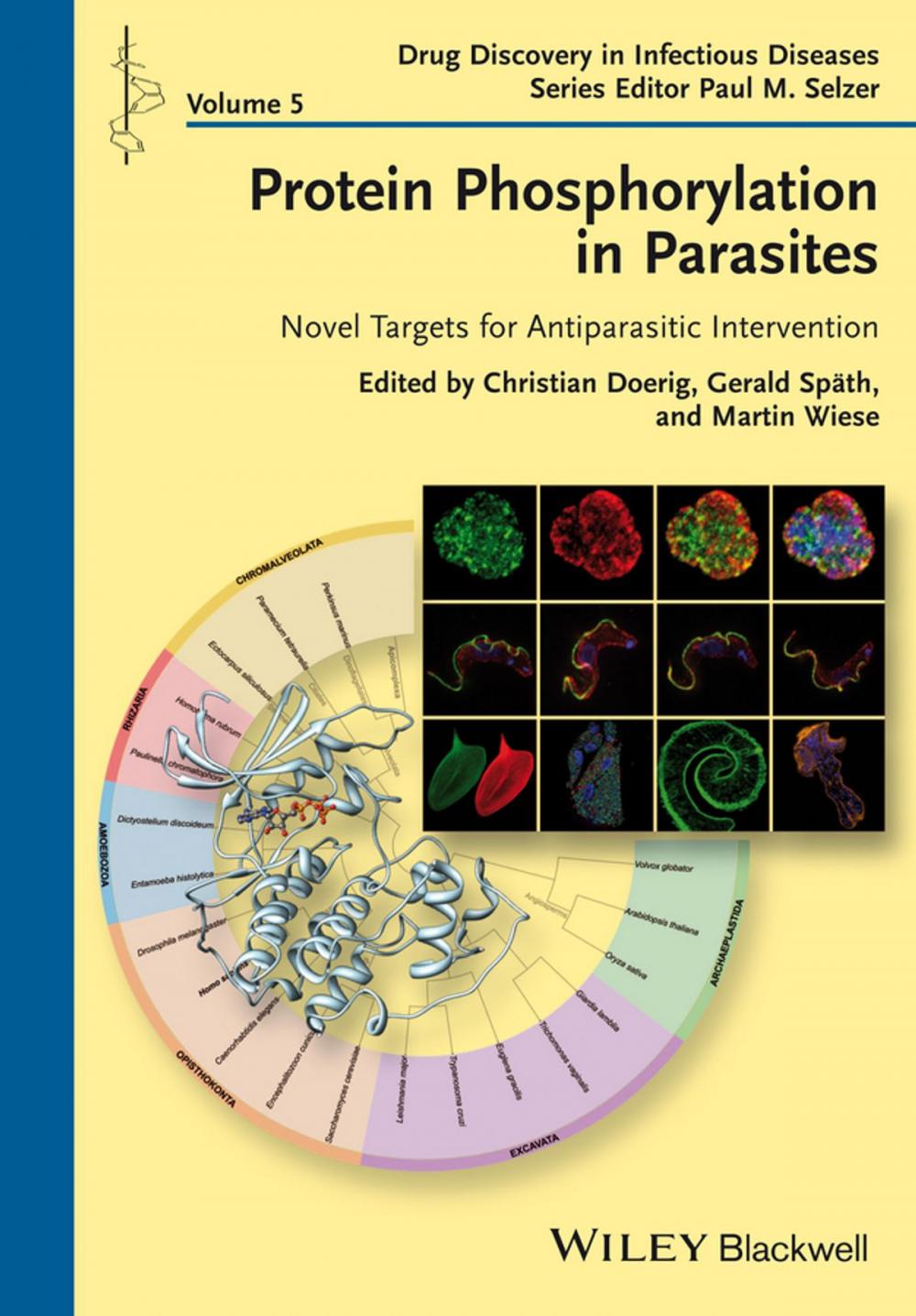 Big bigCover of Protein Phosphorylation in Parasites