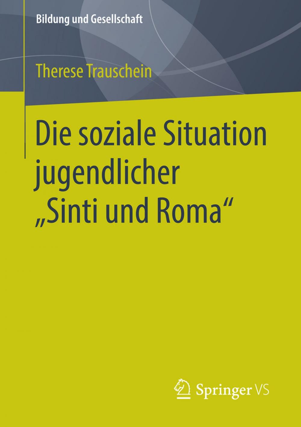 Big bigCover of Die soziale Situation jugendlicher „Sinti und Roma“