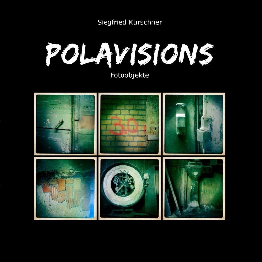 Big bigCover of Polavisions