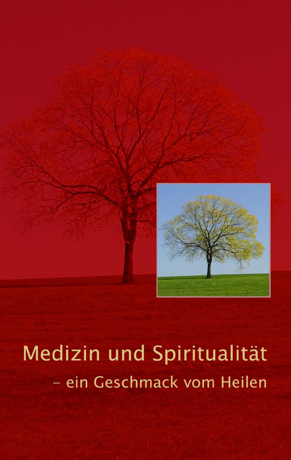 Big bigCover of Medizin und Spiritualität