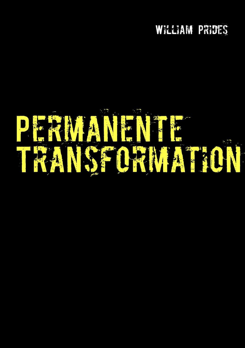 Big bigCover of Permanente Transformation