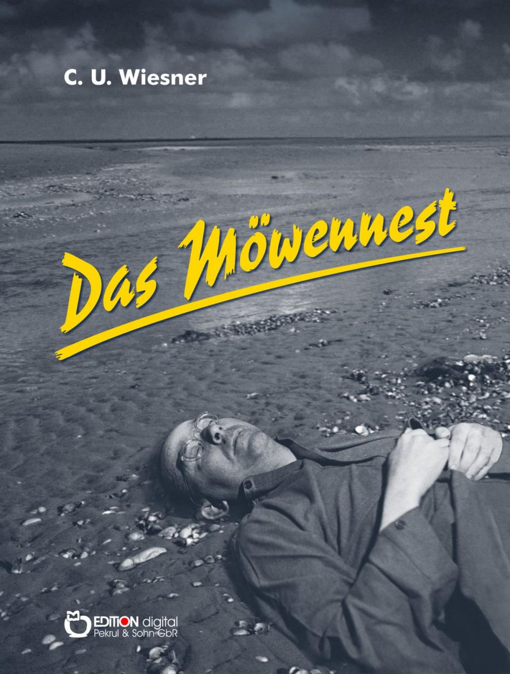 Big bigCover of Das Möwennest