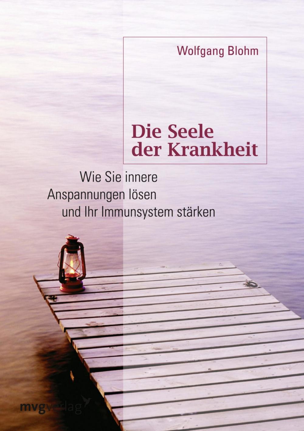 Big bigCover of Die Seele der Krankheit