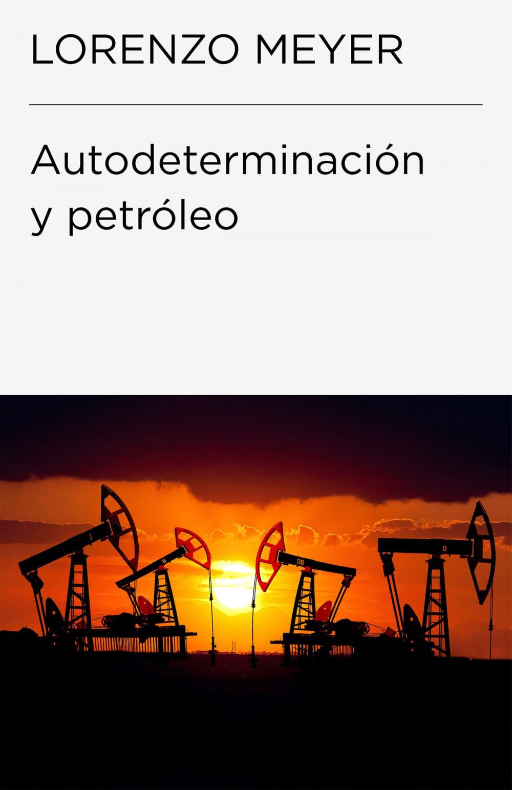 Big bigCover of Autodeterminación y petróleo