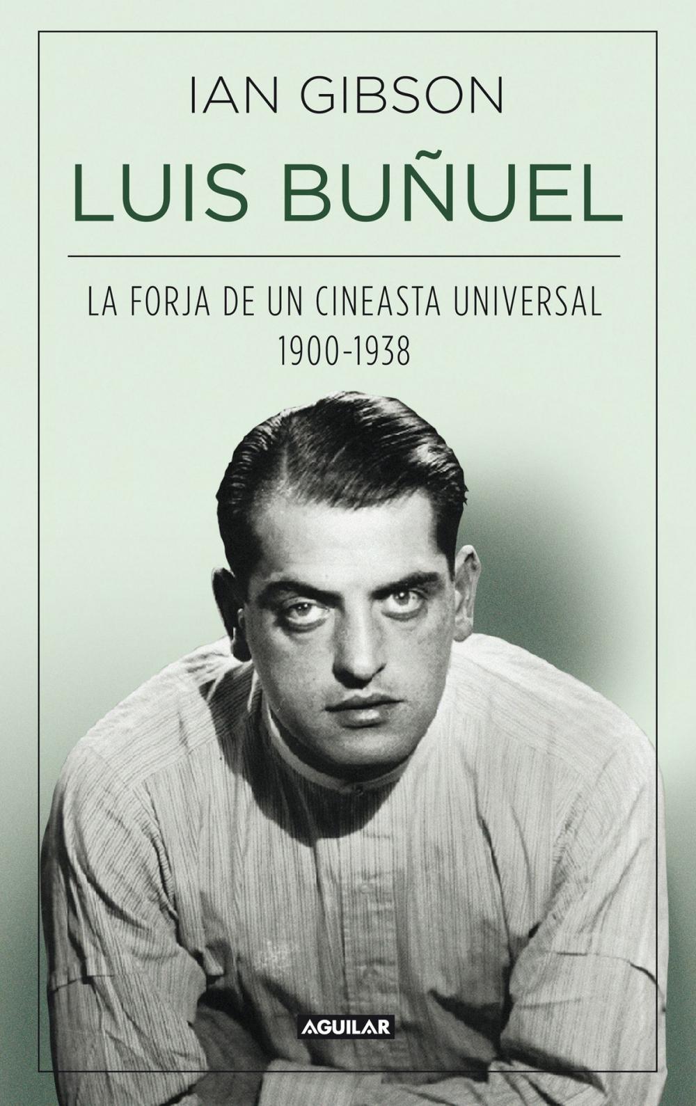 Big bigCover of Luis Buñuel