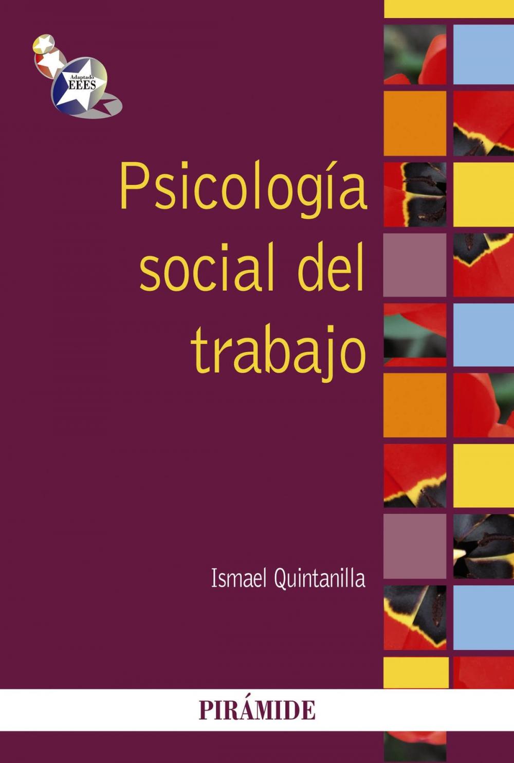 Big bigCover of Psicología social del trabajo