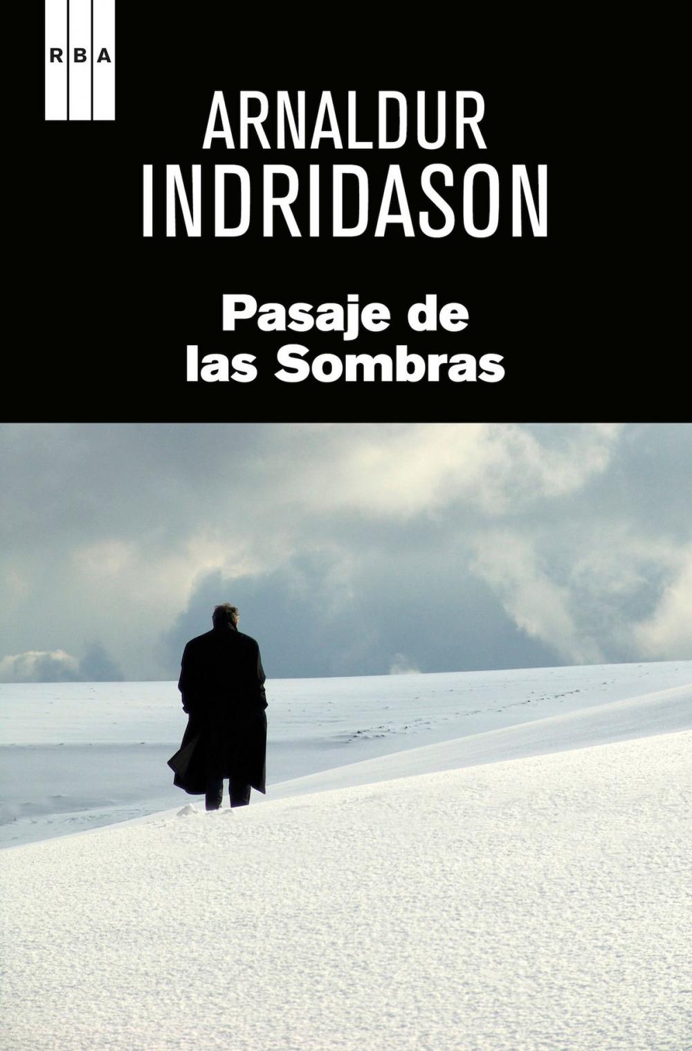 Big bigCover of Pasaje de las sombras