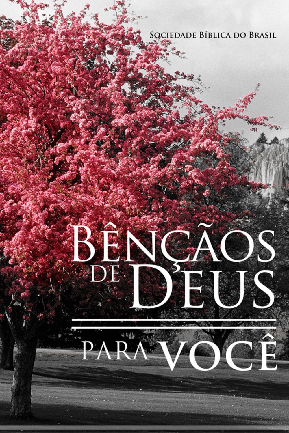 Big bigCover of Bênçãos de Deus para você