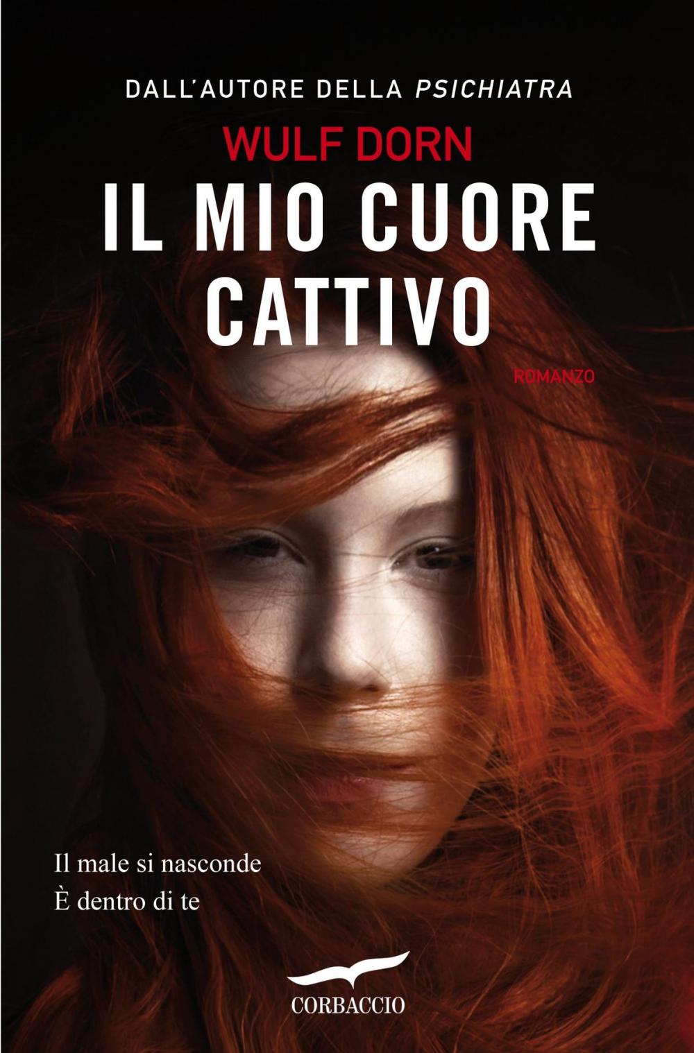 Big bigCover of Il mio cuore cattivo