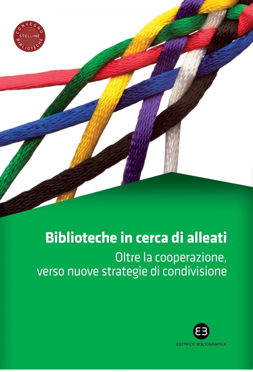 Big bigCover of Biblioteche in cerca di alleati