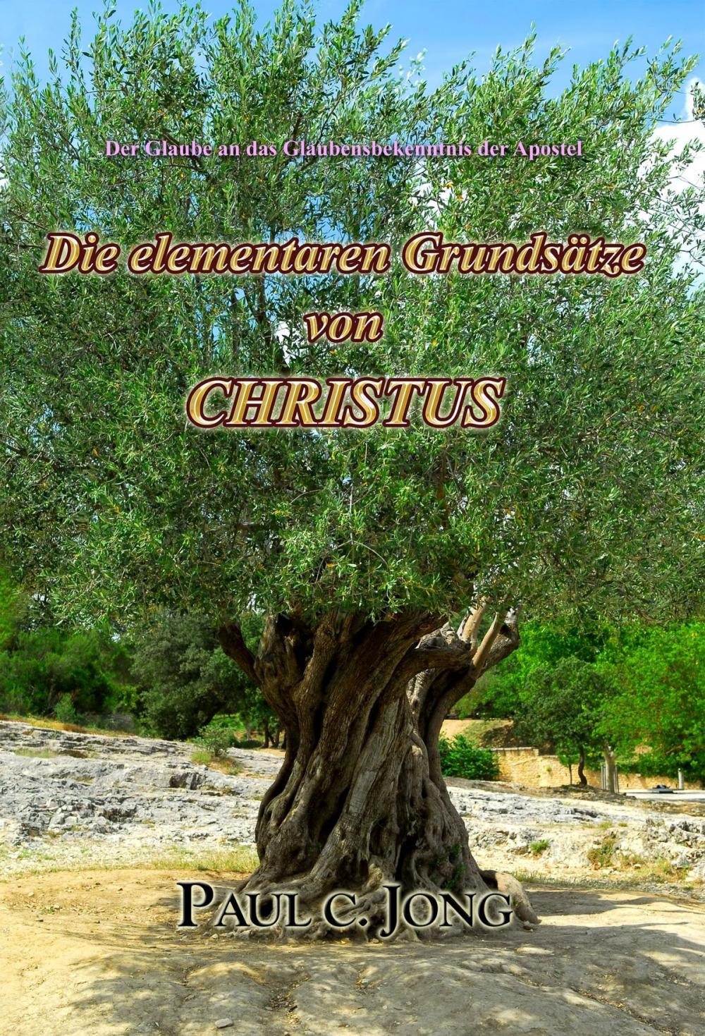 Big bigCover of Der Glaube an das Glaubensbekenntnis der Apostel - Die elementaren Grundsätze von CHRISTUS