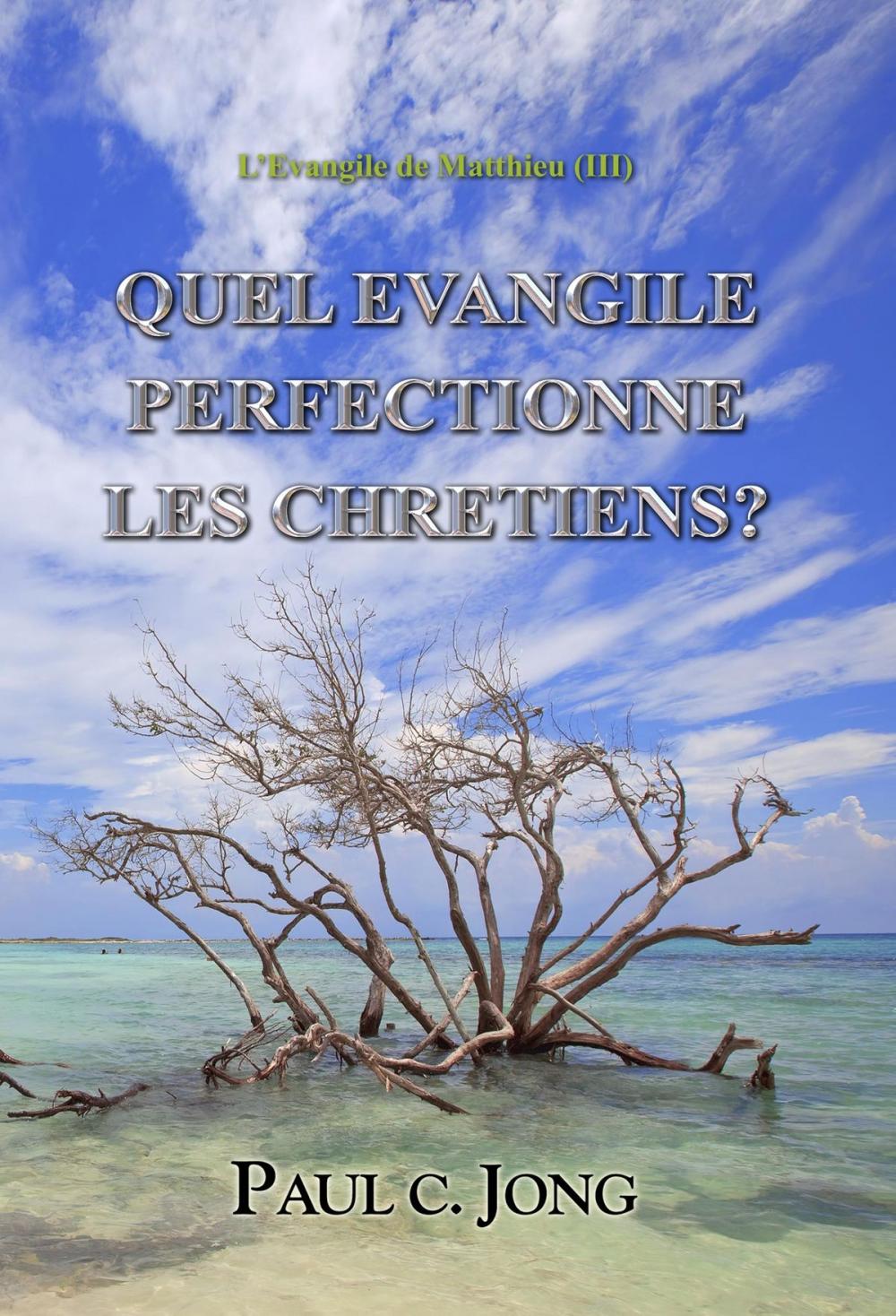 Big bigCover of L’Evangile de Matthieu (III) - QUEL EVANGILE PERFECTIONNE LES CHRETIENS?