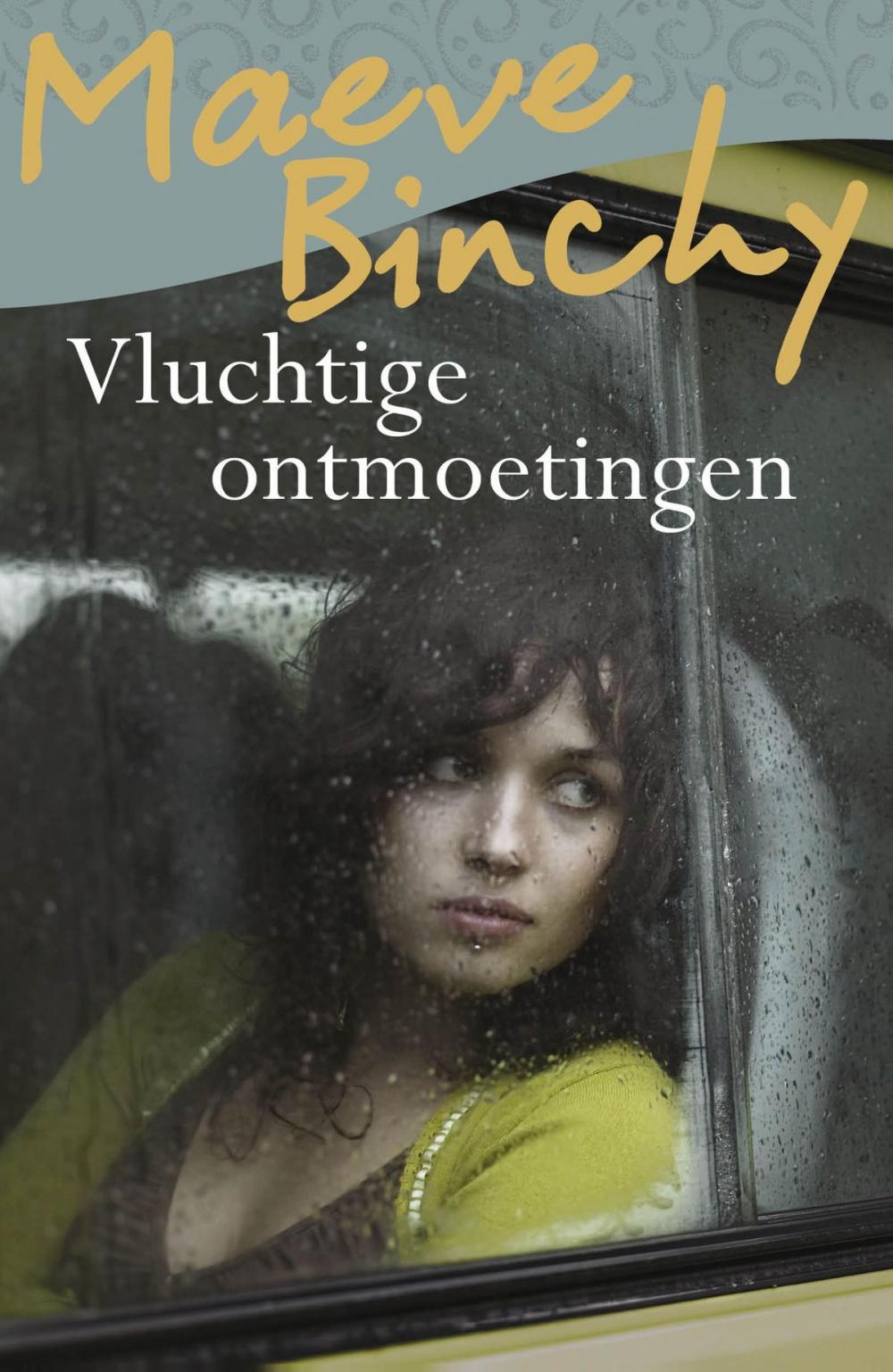 Big bigCover of Vluchtige ontmoetingen