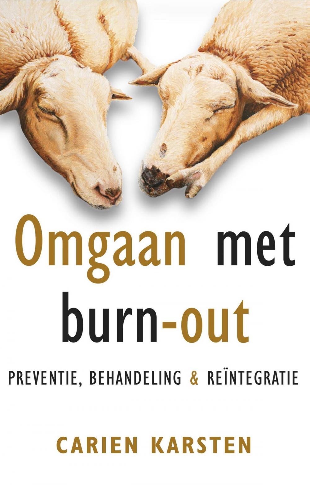 Big bigCover of Omgaan met burn-out