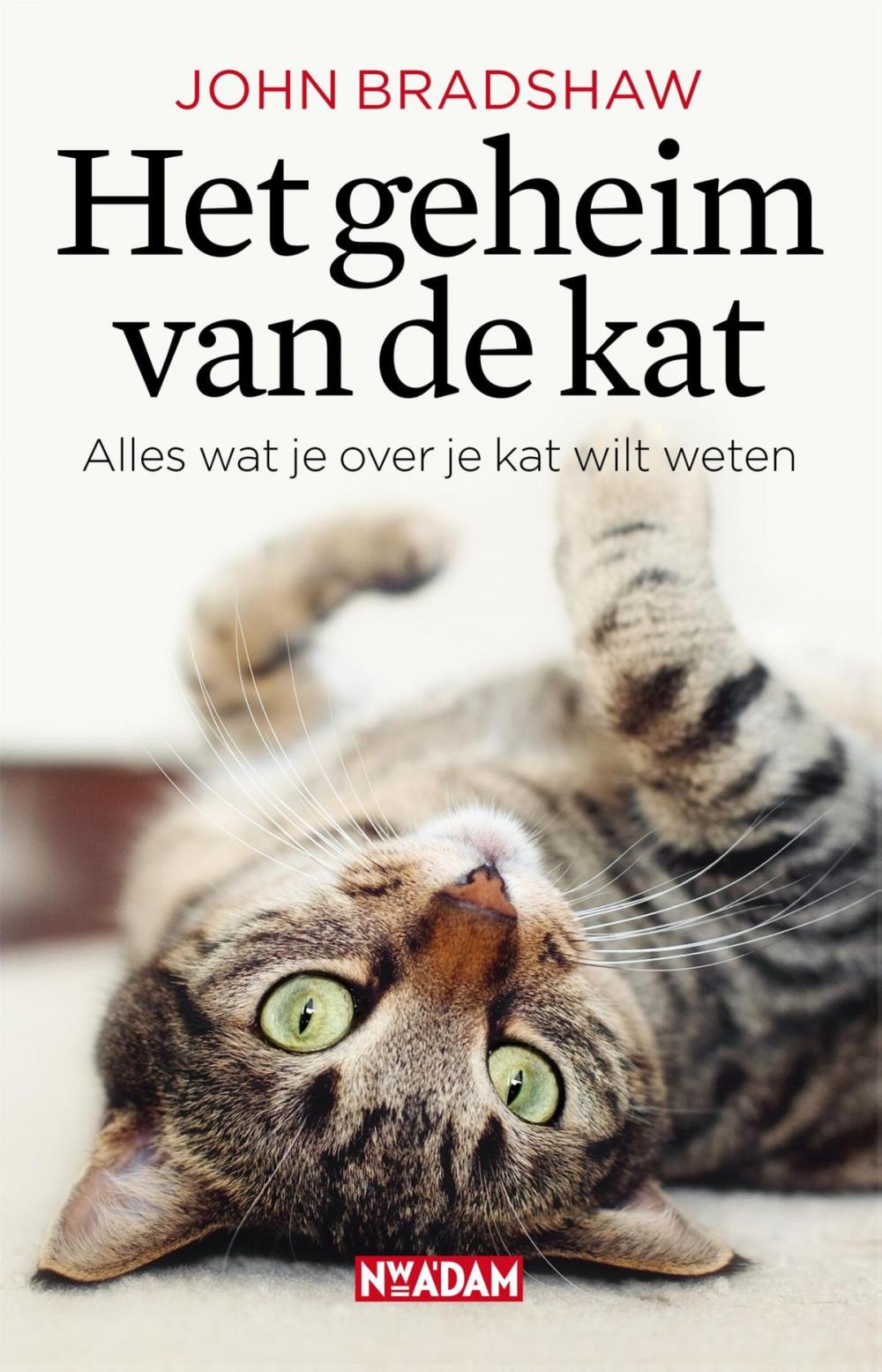 Big bigCover of Het geheim van de kat