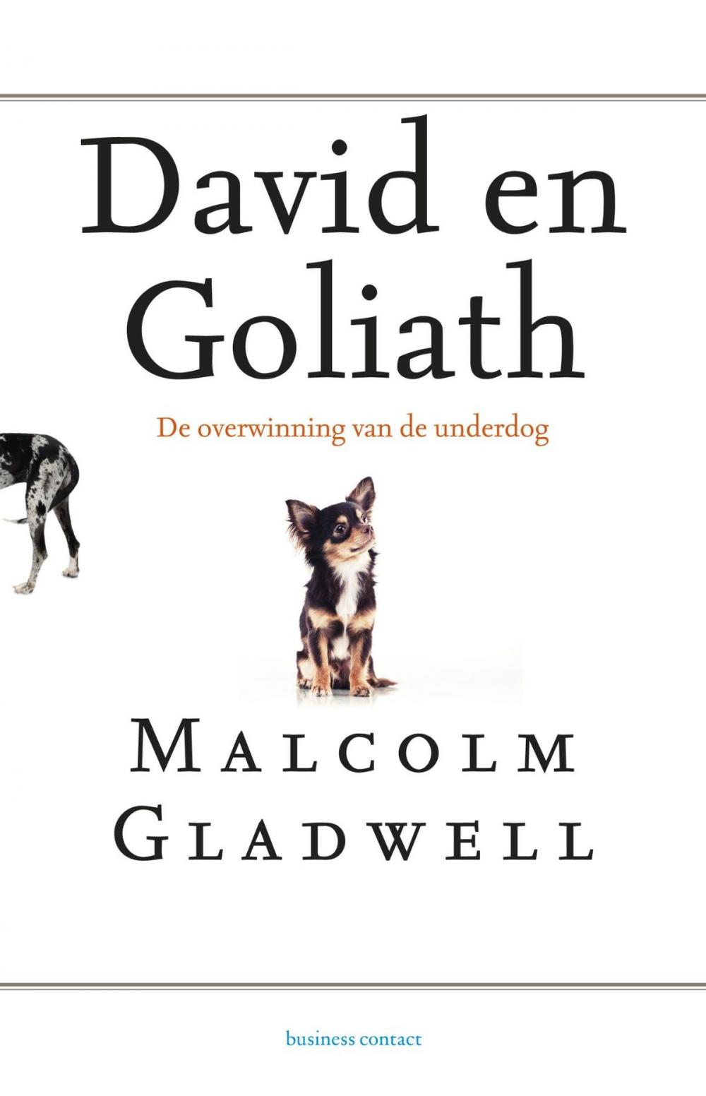 Big bigCover of David en Goliath