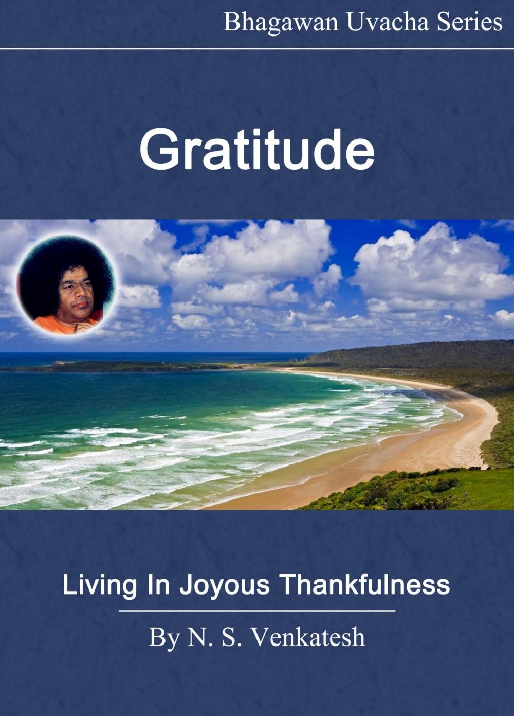 Big bigCover of Gratitude