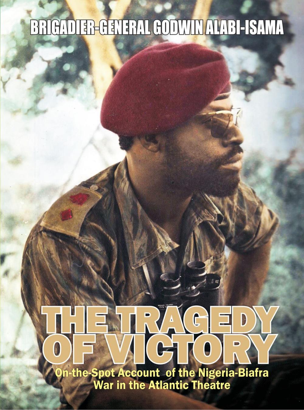 Big bigCover of The Tragedy of Victory