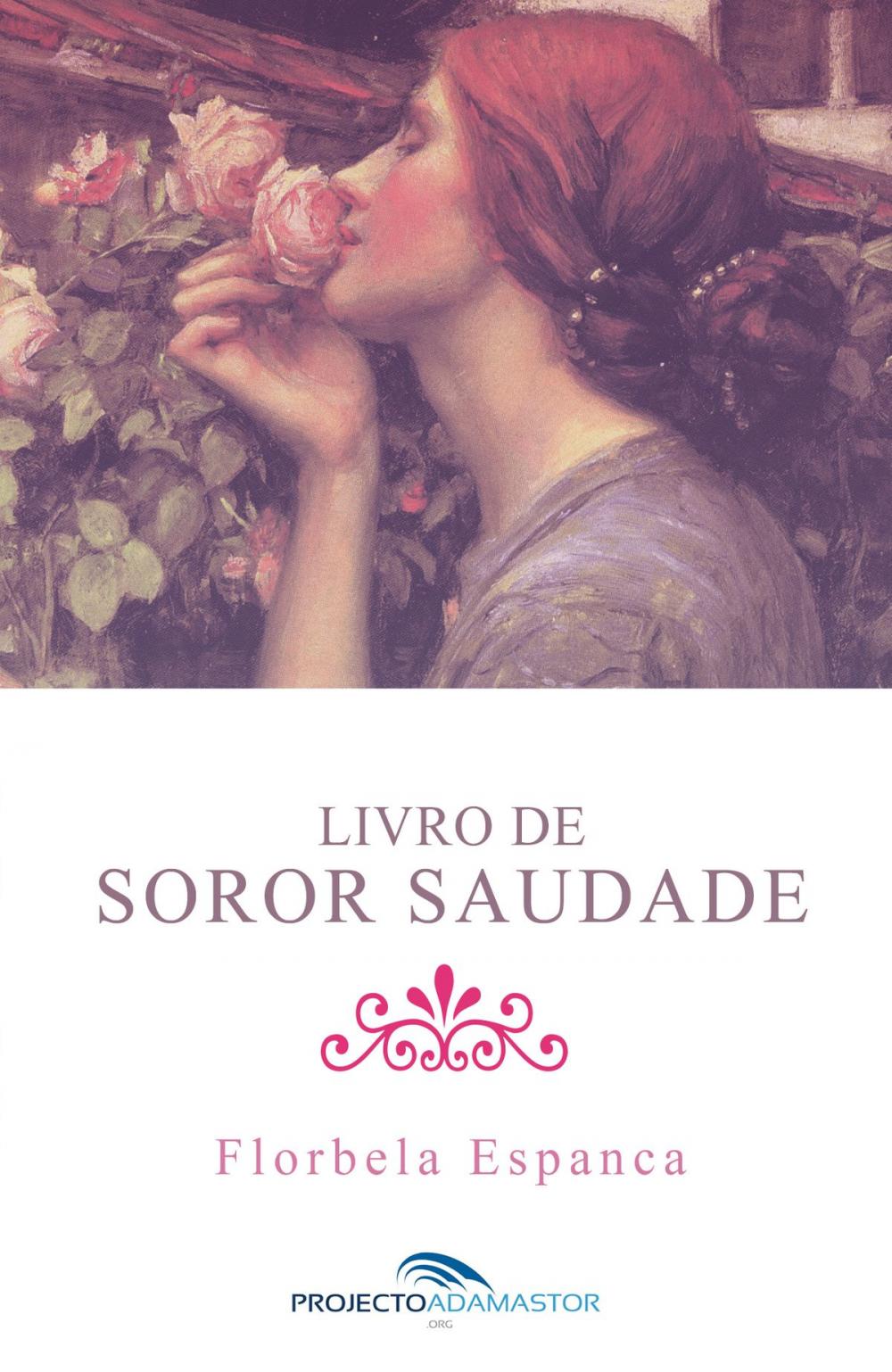 Big bigCover of Livro de Soror Saudade