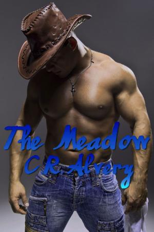 Book cover of The Meadow
