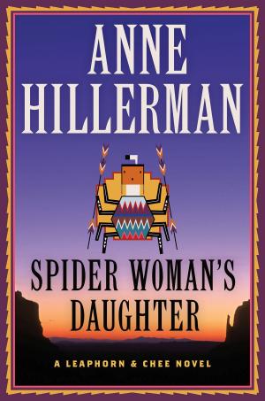 Cover of the book Spider Woman's Daughter by Bill Dugan