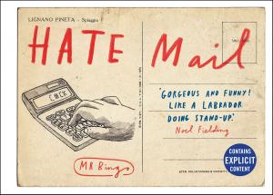 Cover of the book Hate Mail by D. B. Walker