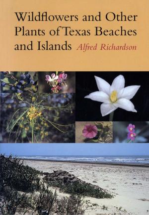 Cover of the book Wildflowers and Other Plants of Texas Beaches and Islands by Bernard Gordon