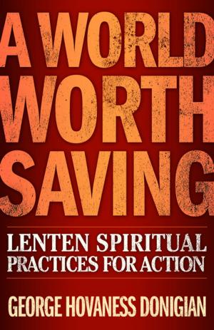 Cover of the book A World Worth Saving by Derek Maul
